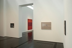 Vija Celmins: Television and Disaster, 1964–1966