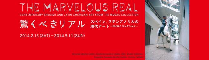 「驚くべきリアル」展スペイン、ラテンアメリカの現代アート‐MUSACコレクション‐