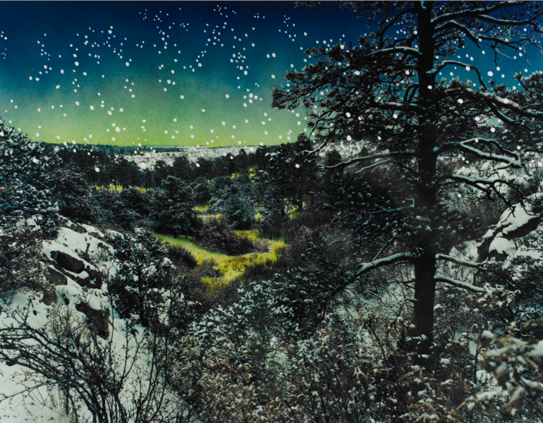Art + the Environment