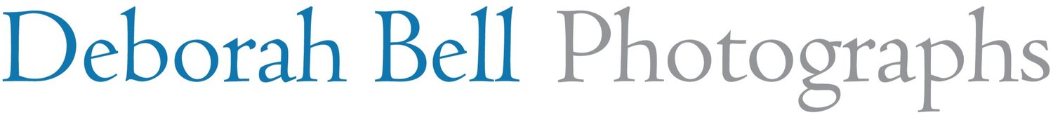 Deborah Bell Photographs logo