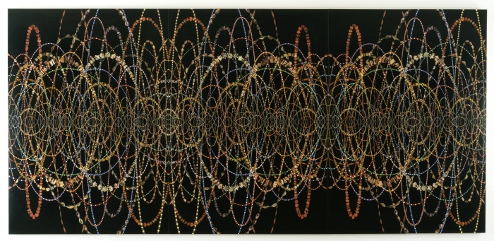 FOCUS: Fred Tomaselli