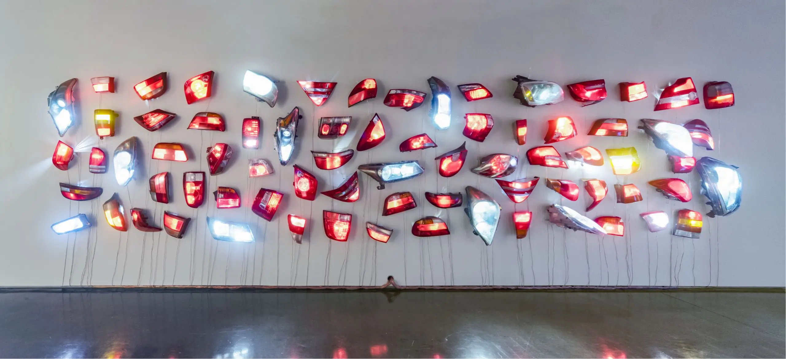 Networked Nature from the Carl & Marilynn Thoma Foundation