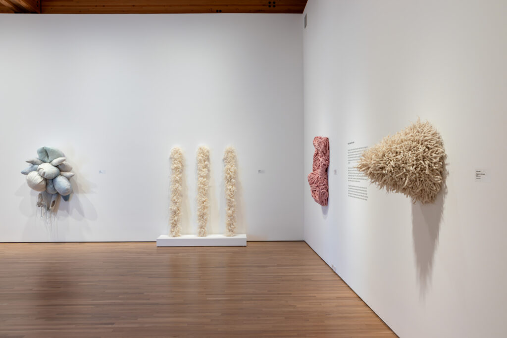 Cindy Weil: Only Wool