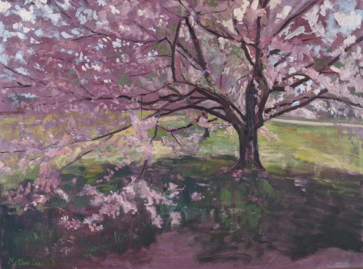 Connecting with Nature: Plein-air Paintings by Matthew Lee