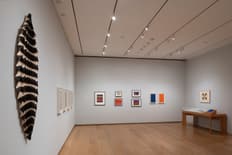 Ruth Asawa Through Line