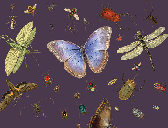 Natural History Museum