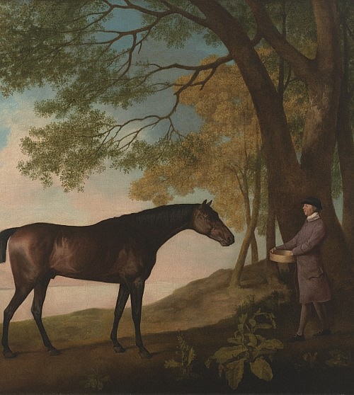 A Sporting Vision: The Paul Mellon Collection of British Sporting Art from the Virginia Museum of Fine Arts
