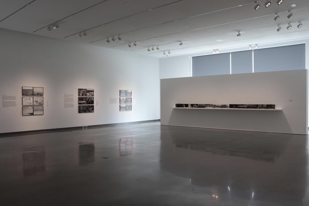 Dana Fritz: Field Guide to a Hybrid Landscape