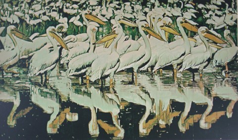 For the Birds | Los pájaros