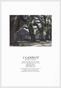 On View Now