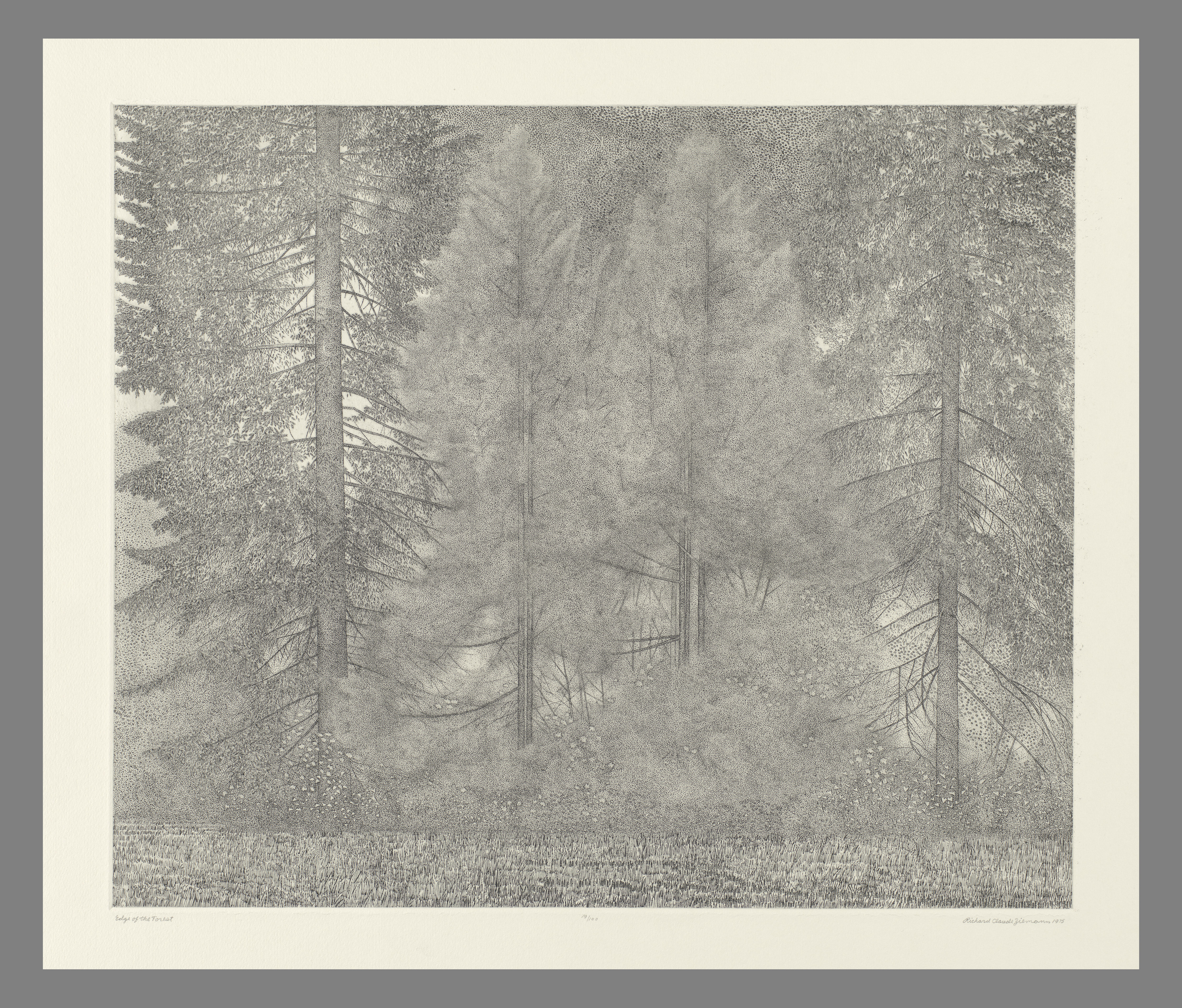 Richard Claude Ziemann: In Nature