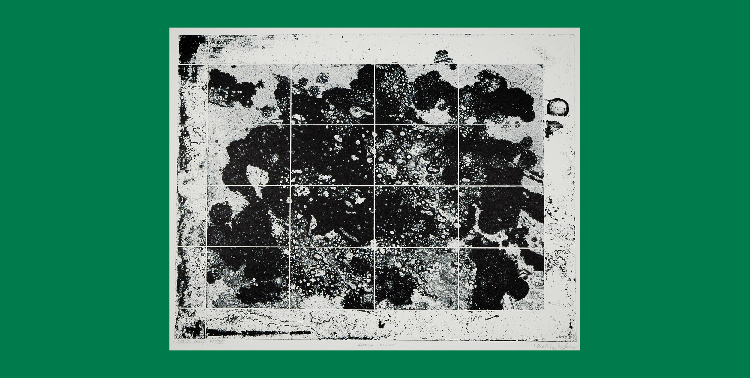 Nature: A Social History