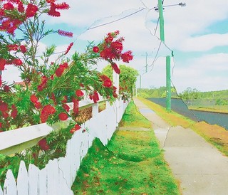 Suburban Sublime Australian Photography