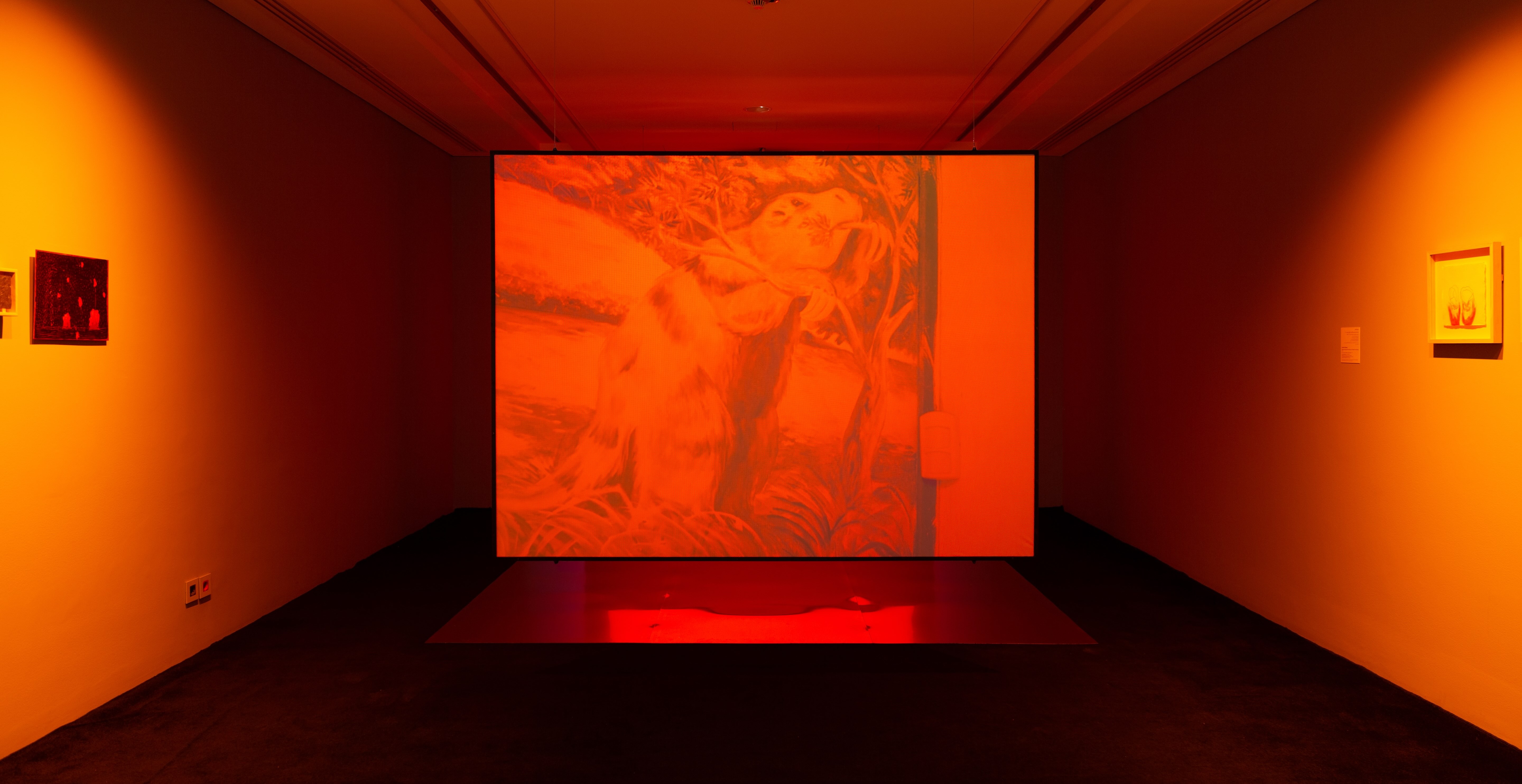 A Comet In Your Eyes by Panos Aprahamian and Janaina Wagner