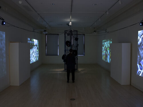 Panczenko Prize Exhibition is Infrastructure Bodies/Injury Systems: An Exhibition by Anne E. Stoner