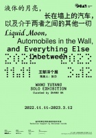 Wang Yuyang: Liquid Moon, a Car Growing on the Wall, and Everything Else in Between