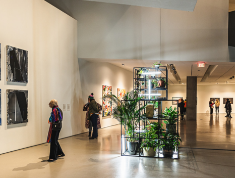 Ecologies of Elsewhere