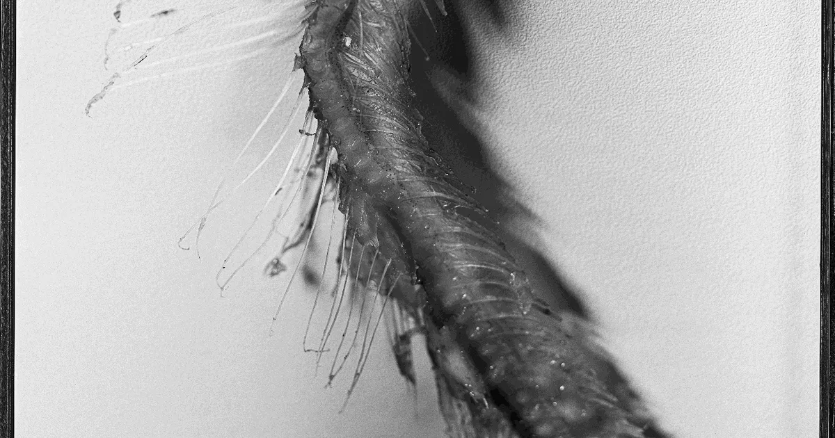 MONTERO Art Gallery logo