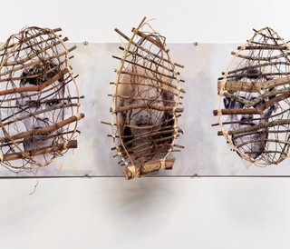 Creative Generation 2024 Excellence Awards in Visual Art