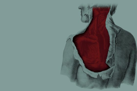 Anatomy: A Matter of Death and Life