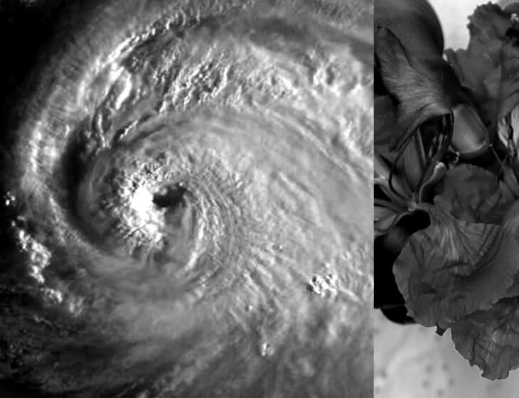 Hurricane Season