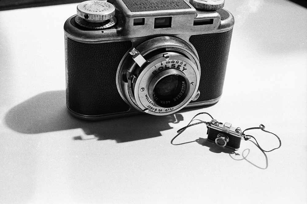 Laurie Simmons: Big Camera/Little Camera