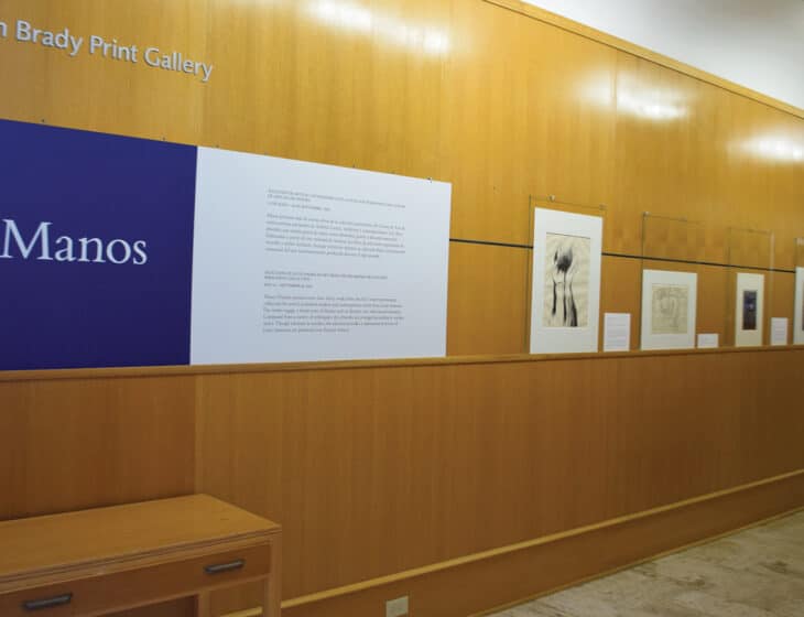 Manos: Selections of Latin American Art from the Des Moines Art Center’s Collection