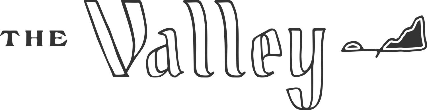 The Valley logo