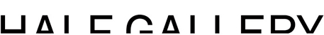 Half Gallery logo