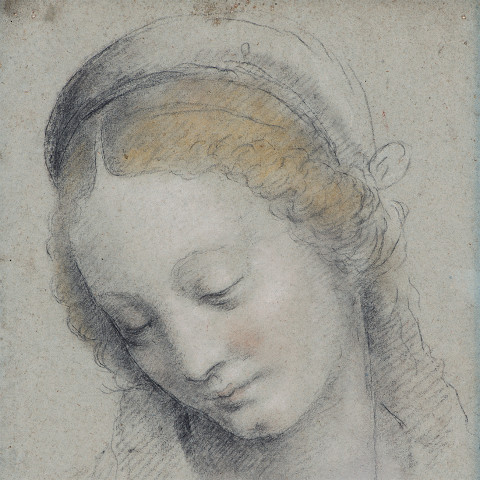 Drawings in Dialogue: Italian and Northern European Works on Paper from the Joseph B. and Ann S. Koepfli Trust