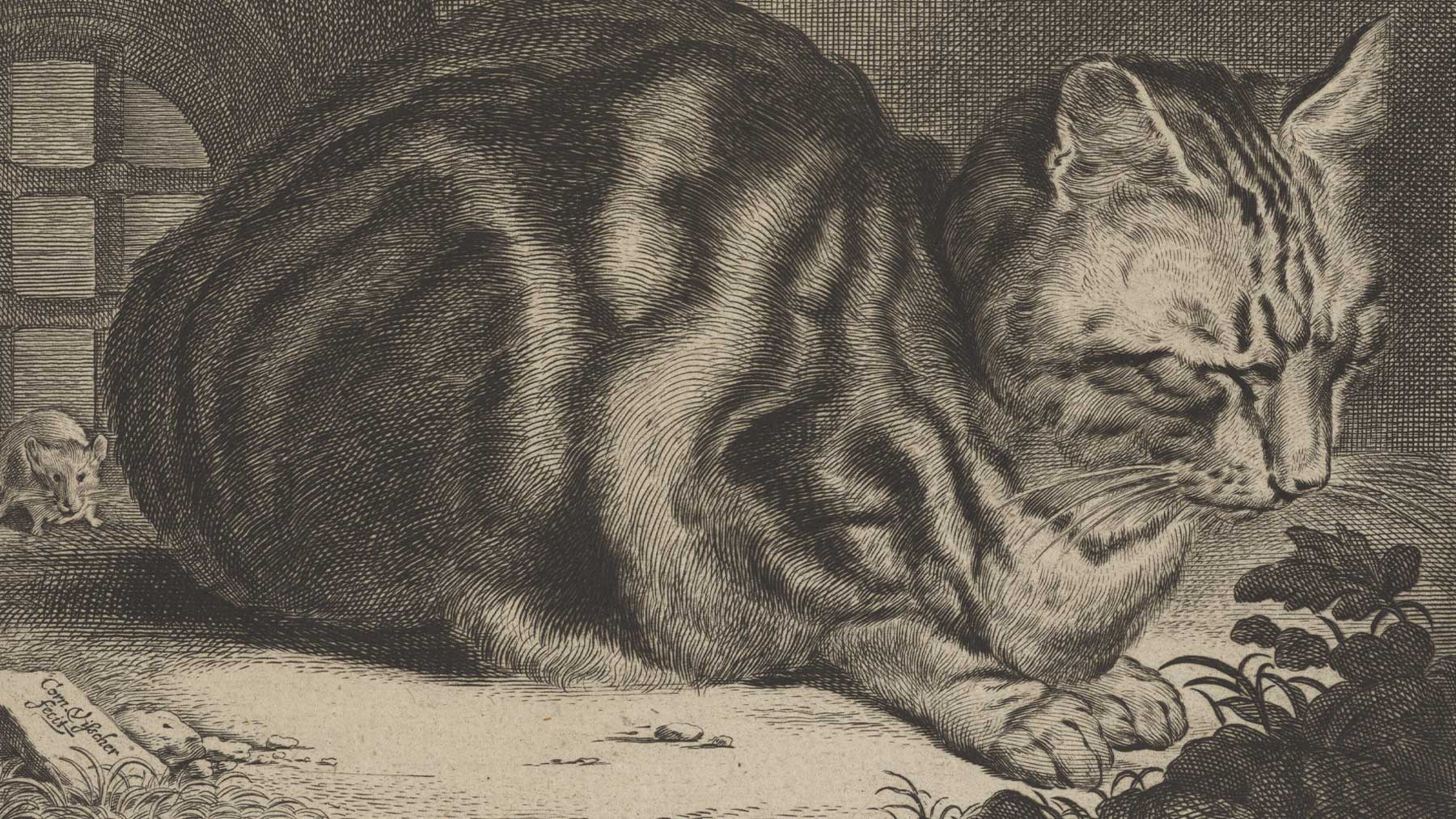 Life Captured in Line: 17th-Century Dutch and Flemish Prints