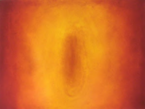 Composition.Gallery logo