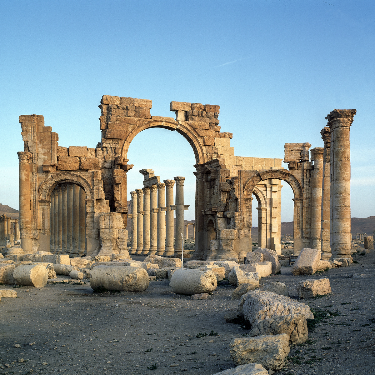Carolyn Brown and Palmyra: An Ancient City Through the Lens