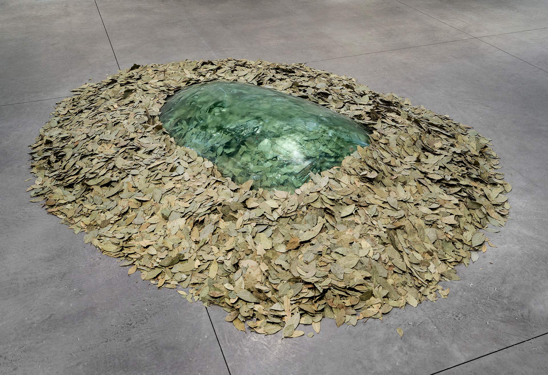 Arts of the Earth