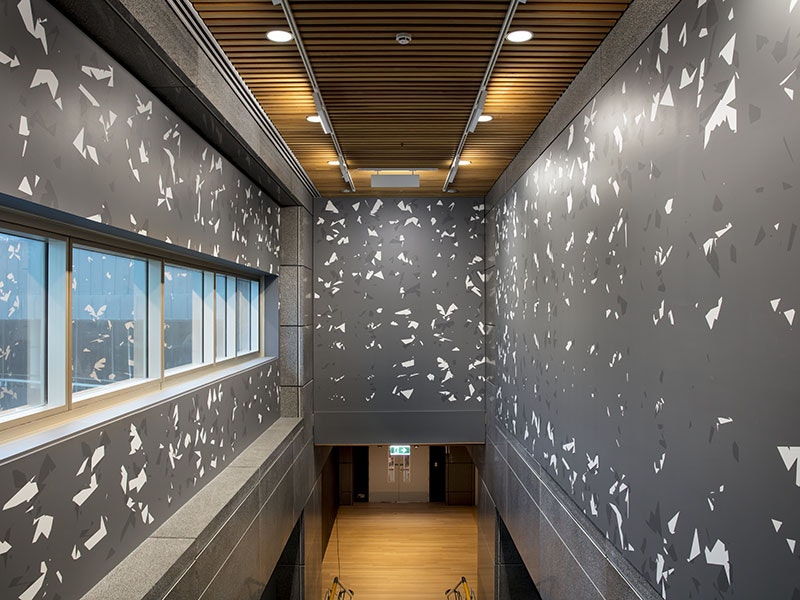 Jeena Shin: Movement image time. Te Papa