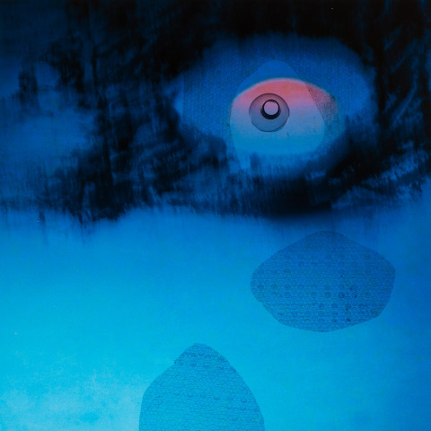 The Constructed Photograph