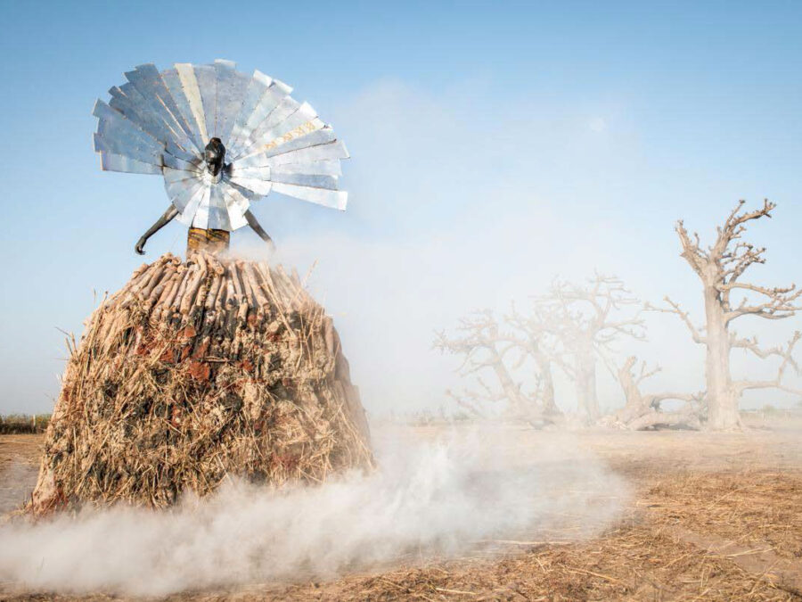 Fabrice Monteiro: The Prophecy