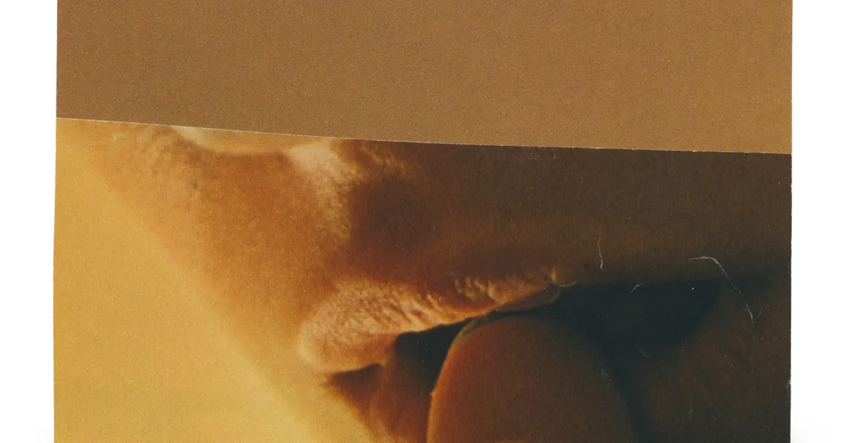 Curatorial Gallery logo