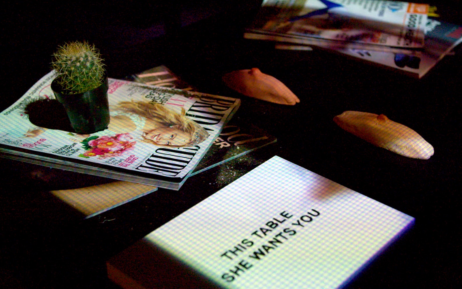 Laure Prouvost: They Are Waiting for You