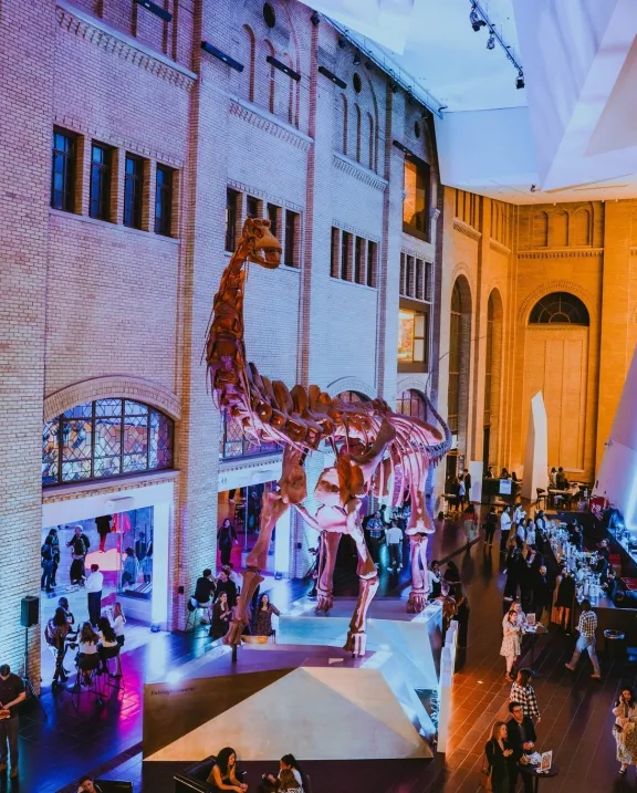 ROM After Dark