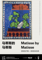 Matisse by Matisse