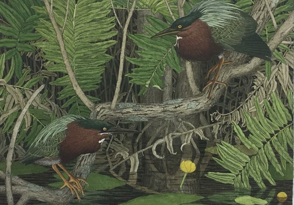 New Members Exhibition at the Folk Art Center