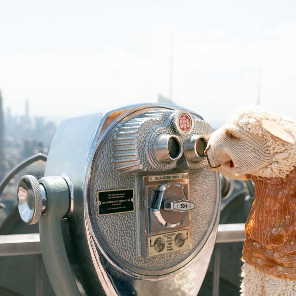 Puppets of New York