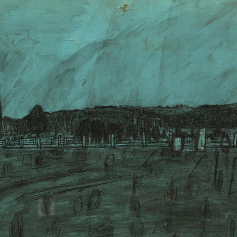 The Private Universe of James Castle: Drawings from the William Louis-Dreyfus Foundation and James Castle Collection and Archive