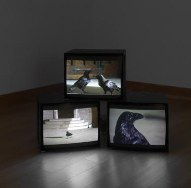 ARTIST ROOMS: Douglas Gordon - Berwick Visual Arts