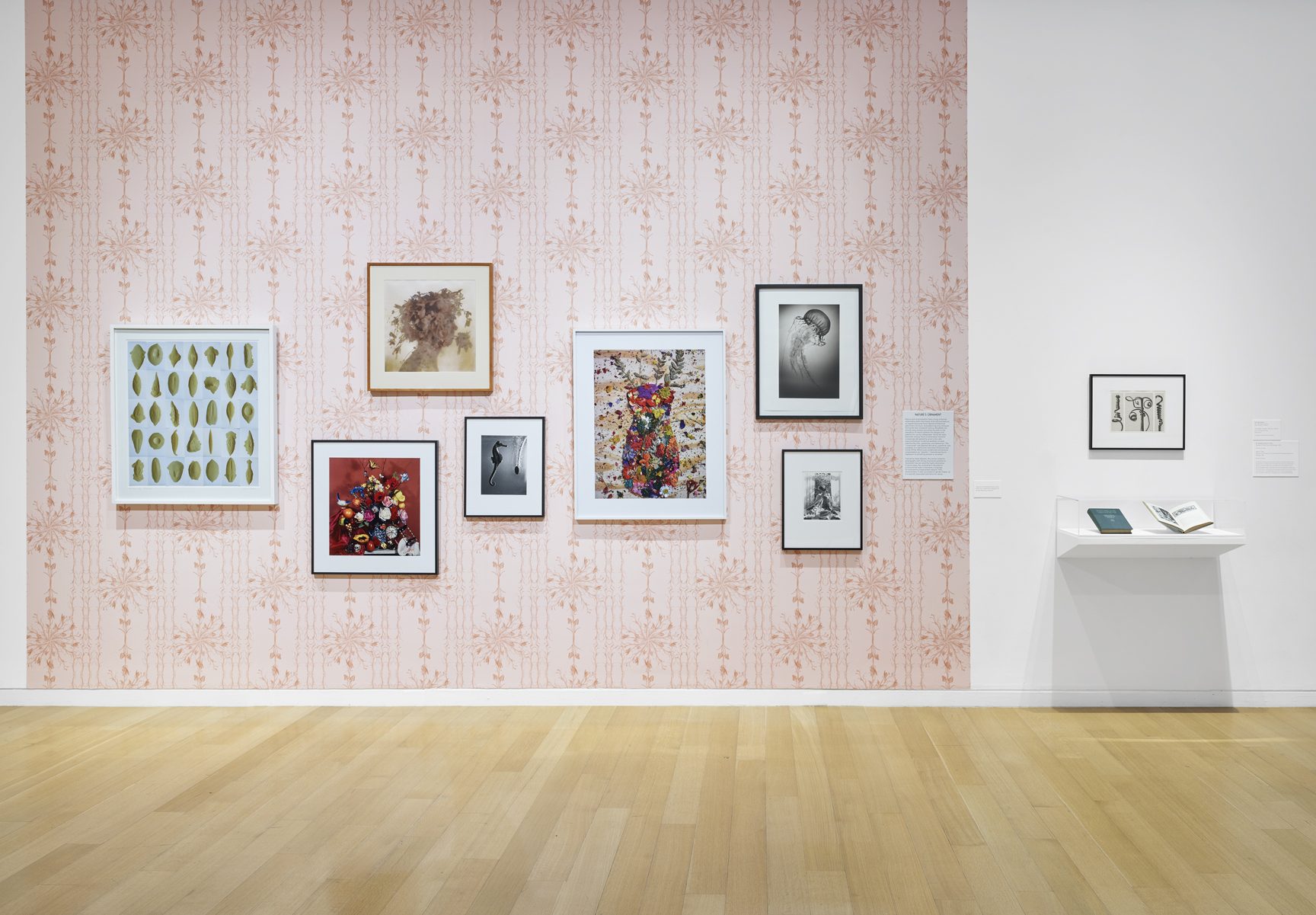 All the Marvelous Surfaces: Photography Since Kar...