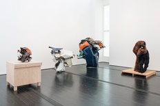 Fresh: Haim Steinbach and Objects from the Permanent Collection