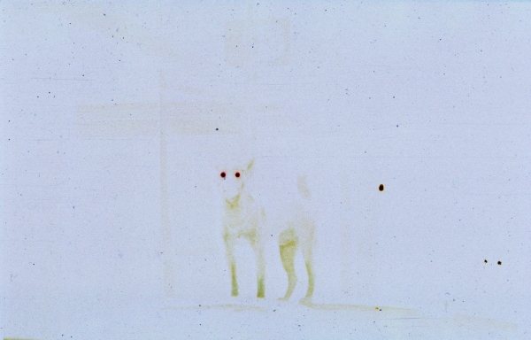 Lydia Ourahmane & Alex Ayed laws of confusion