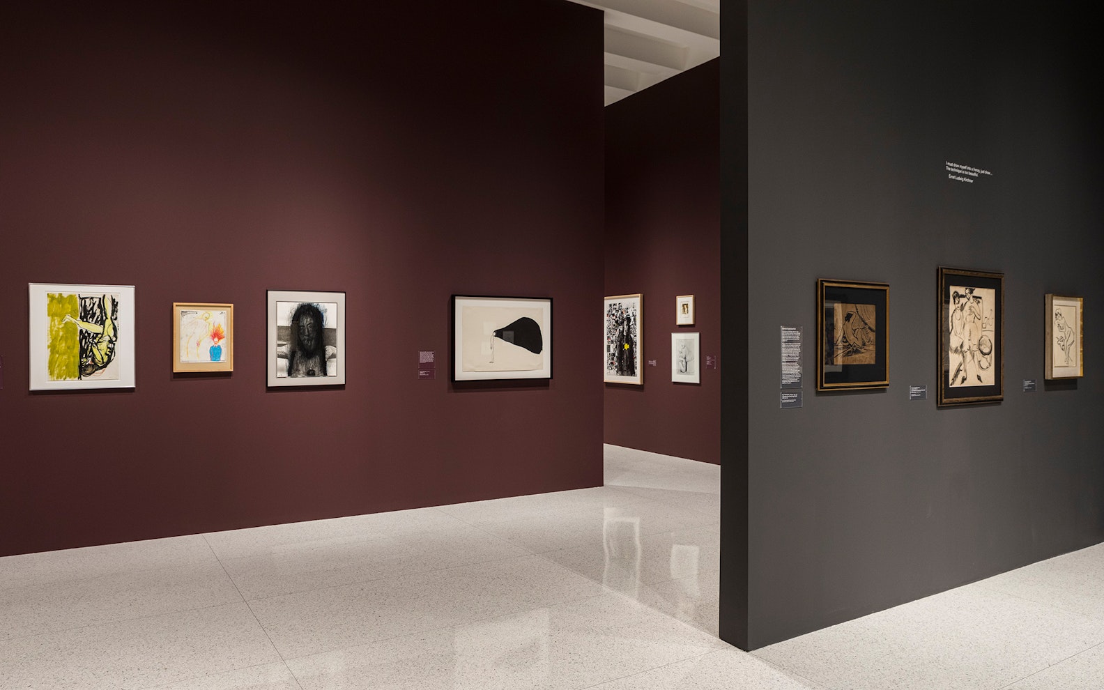 The Expressionist Figure: The Miriam and Erwin Kelen Collection of Drawings