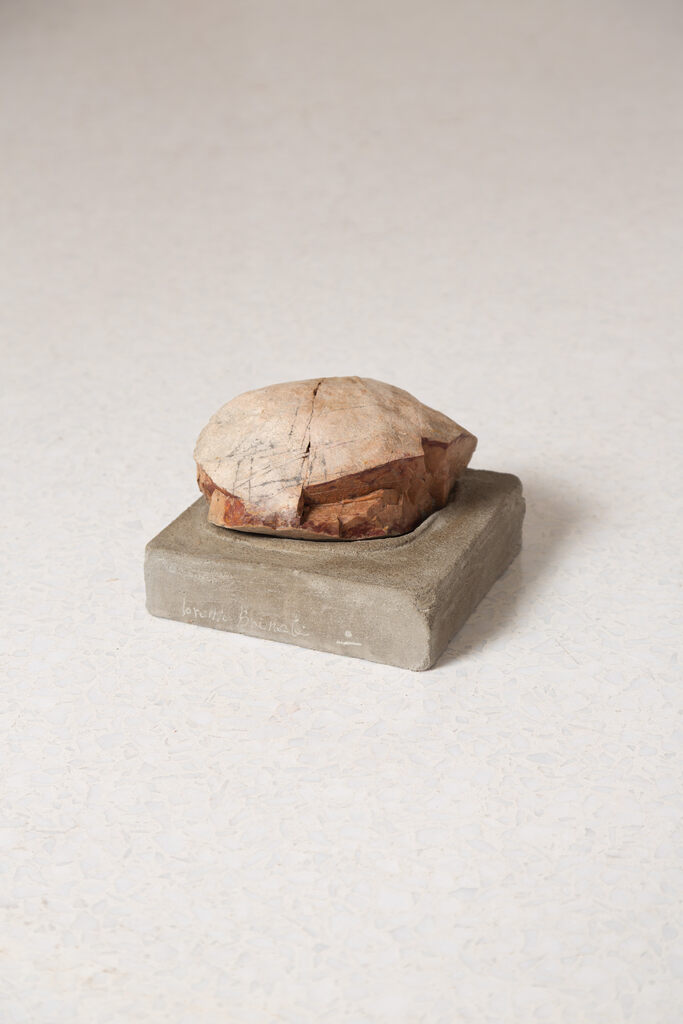 A Group Show